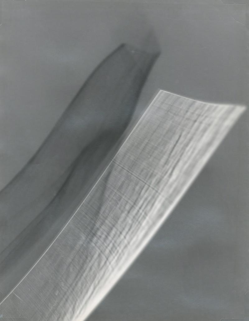 Maria Garcia Photogram Abstraction I 