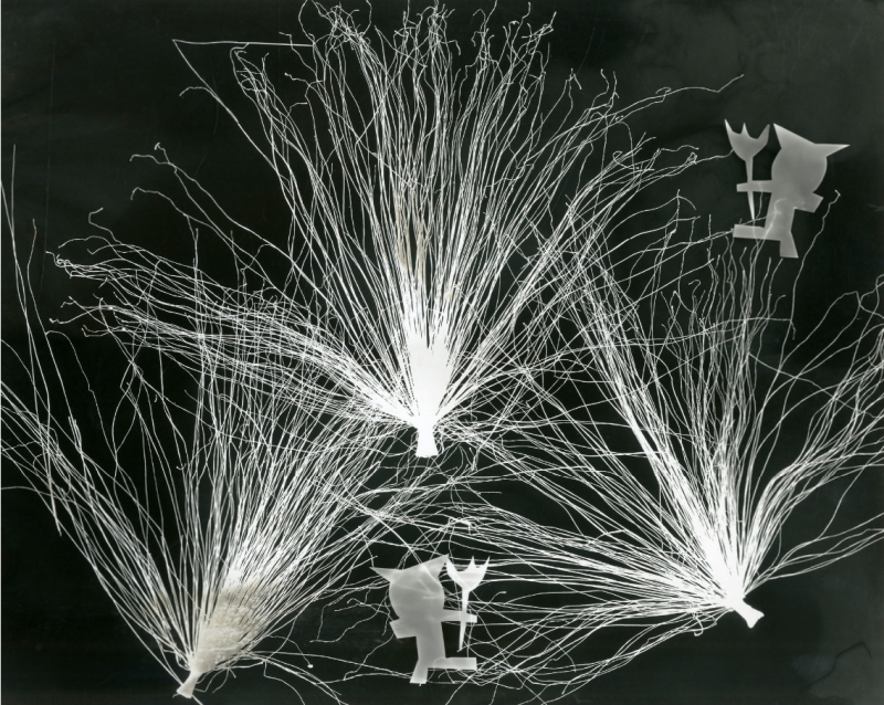 Maria Garcia Photogram Little Devils 1950s