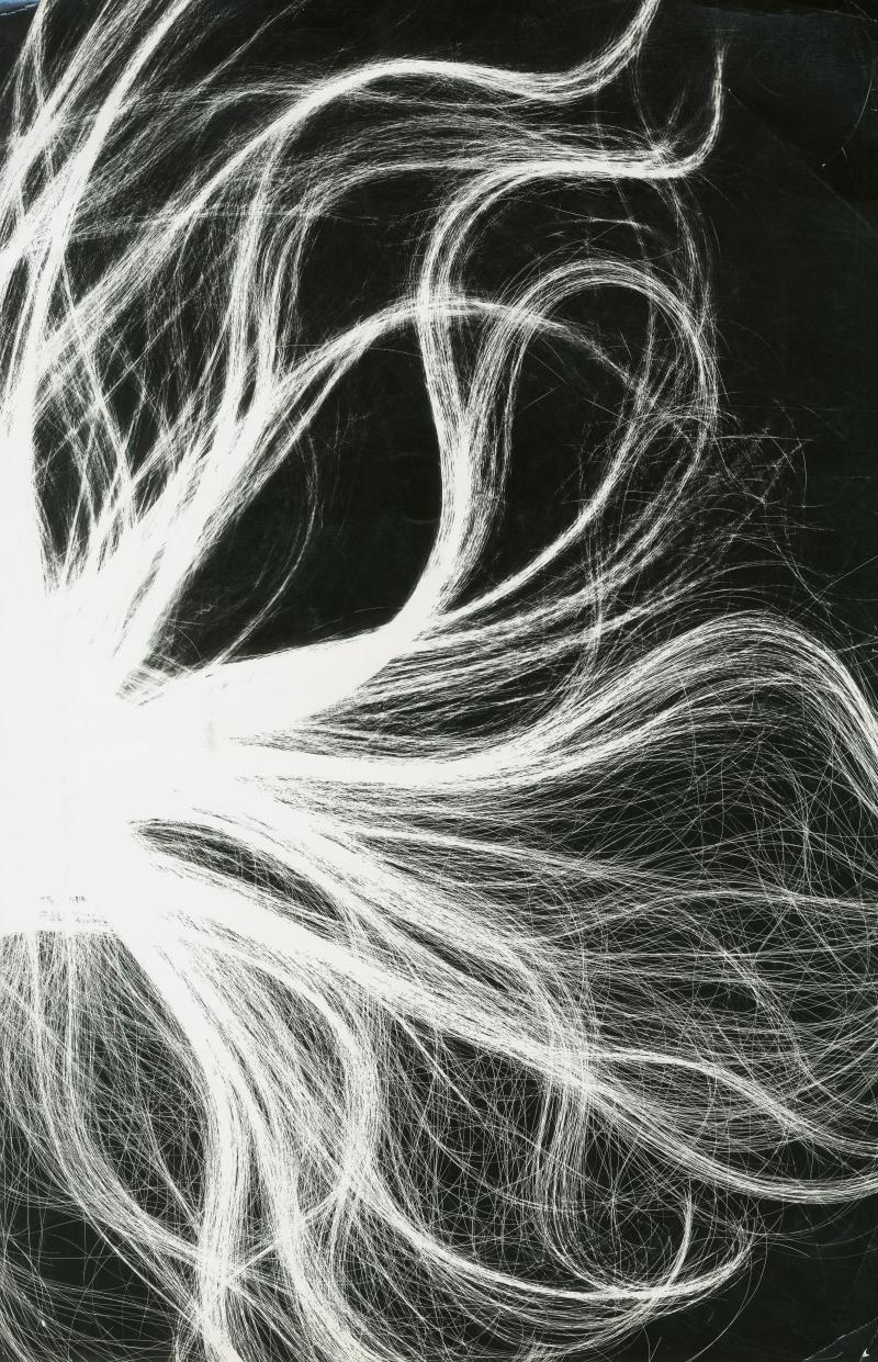 Maria Garcia Photogram Waves 