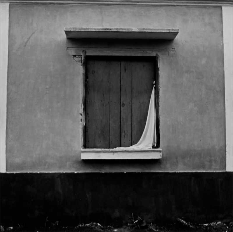 Mariana Yampolsky Window n d 