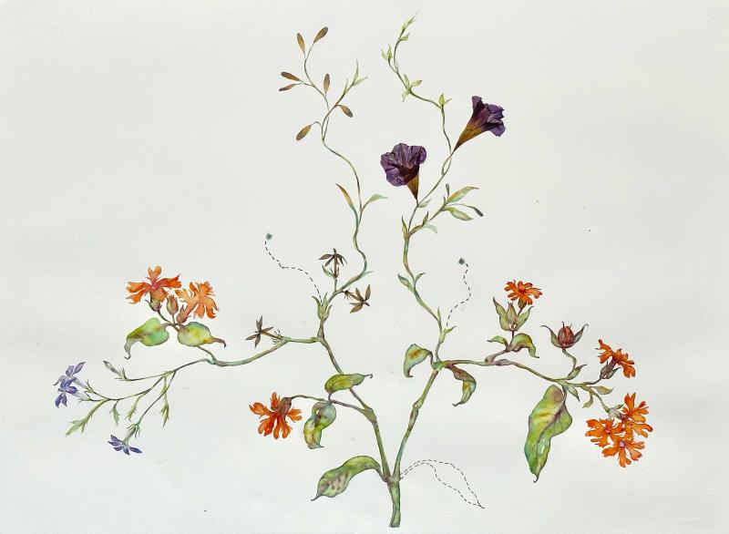Marilla Palmer Blue Star Symmetry