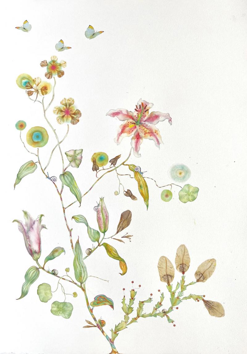 Marilla Palmer The Innocence of Flowers