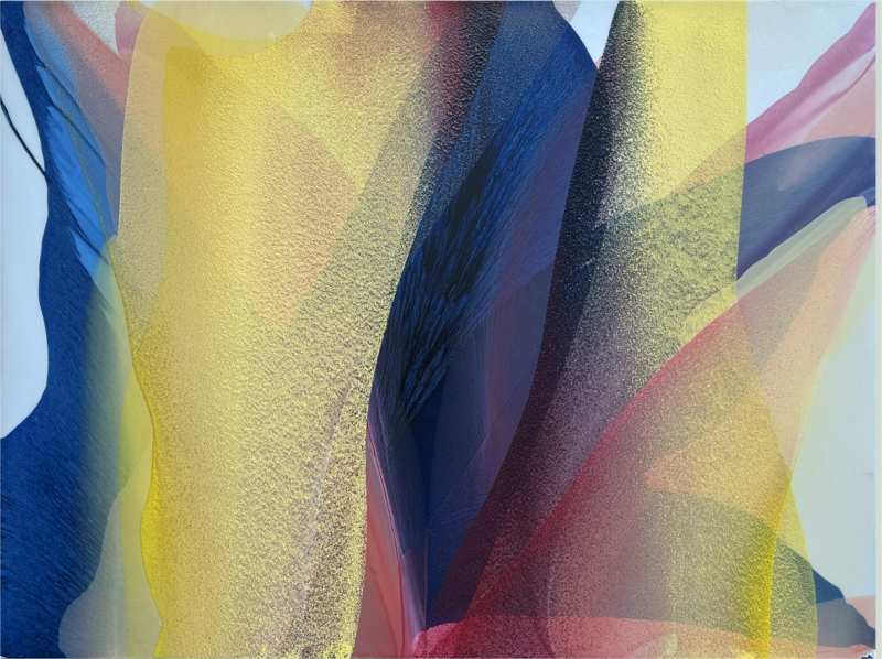 Marina Savashynskaya Dunbar Blue Iris 2025