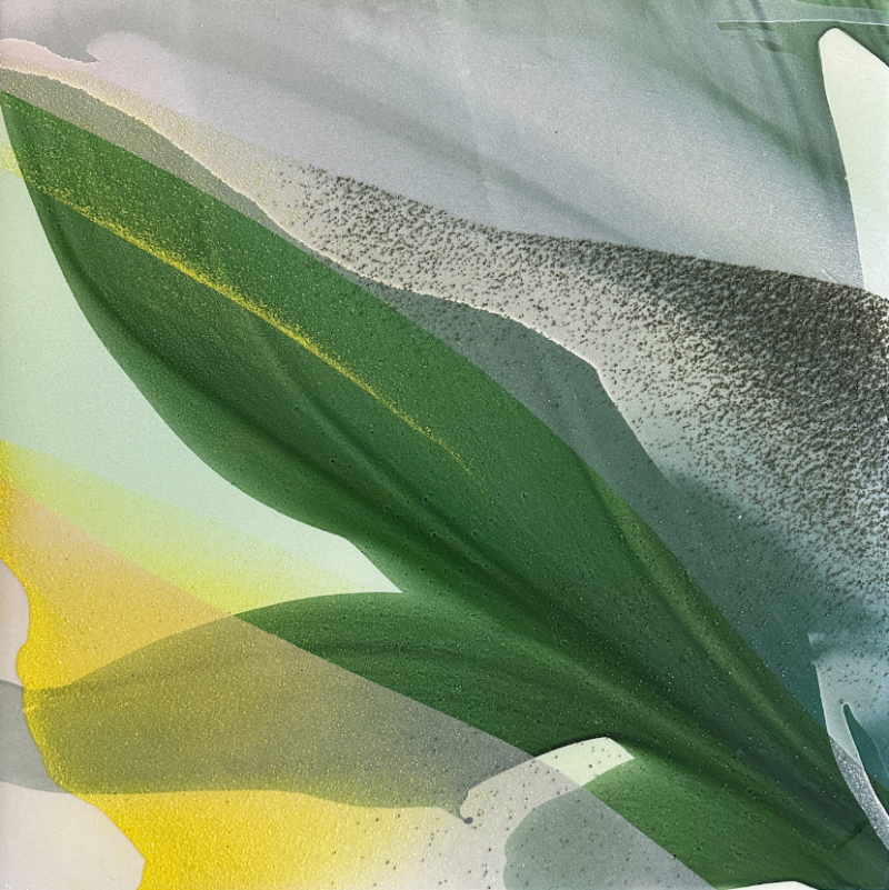 Marina Savashynskaya Dunbar Magnolia X 2025