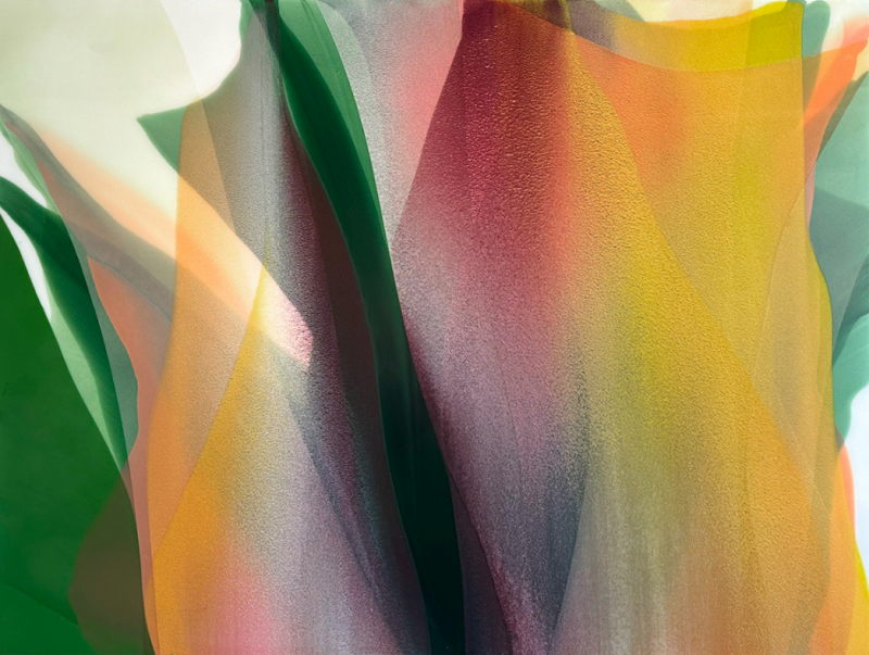 Marina Savashynskaya Dunbar Sunpillars 2024