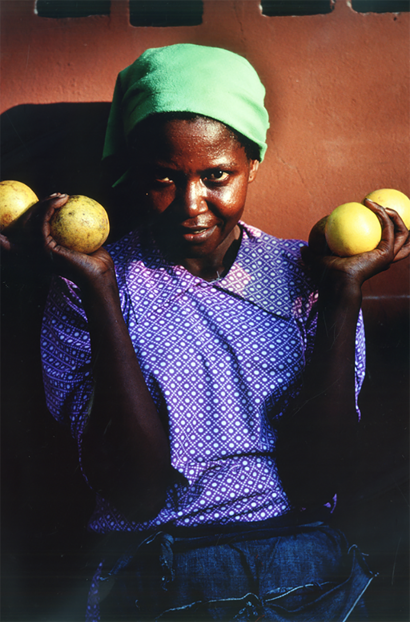 Mario Algaze Port au Prince Haiti 1976