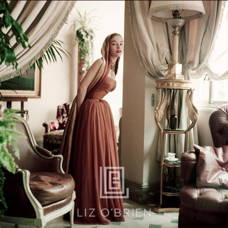 Mark Shaw Designers Homes Model in Brown Dior in Dior s Paris Home 1953