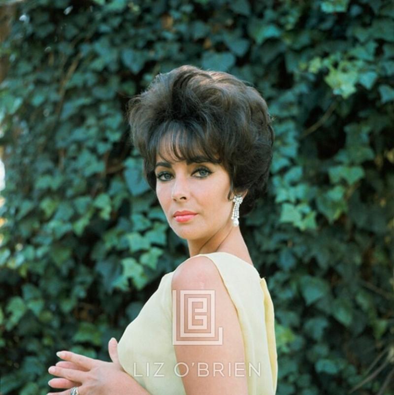 Mark Shaw Elizabeth Taylor in Yellow Chiffon Shoulder Glance 1961