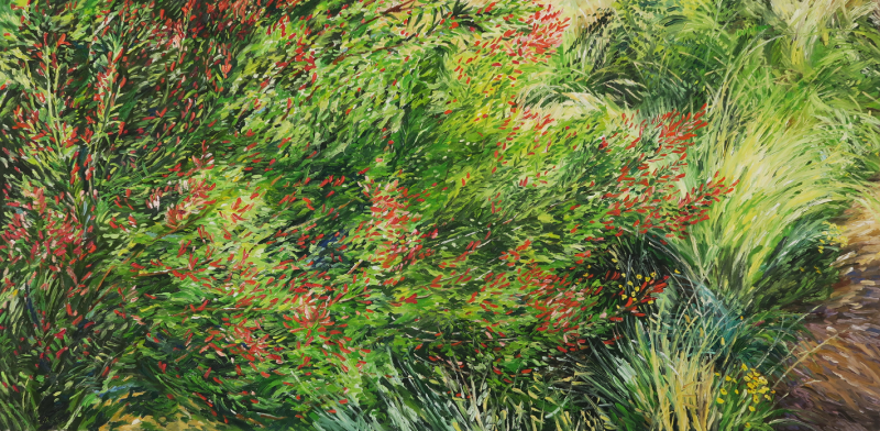 Martha Hughes Marfa Garden Flame Acanthus 2012
