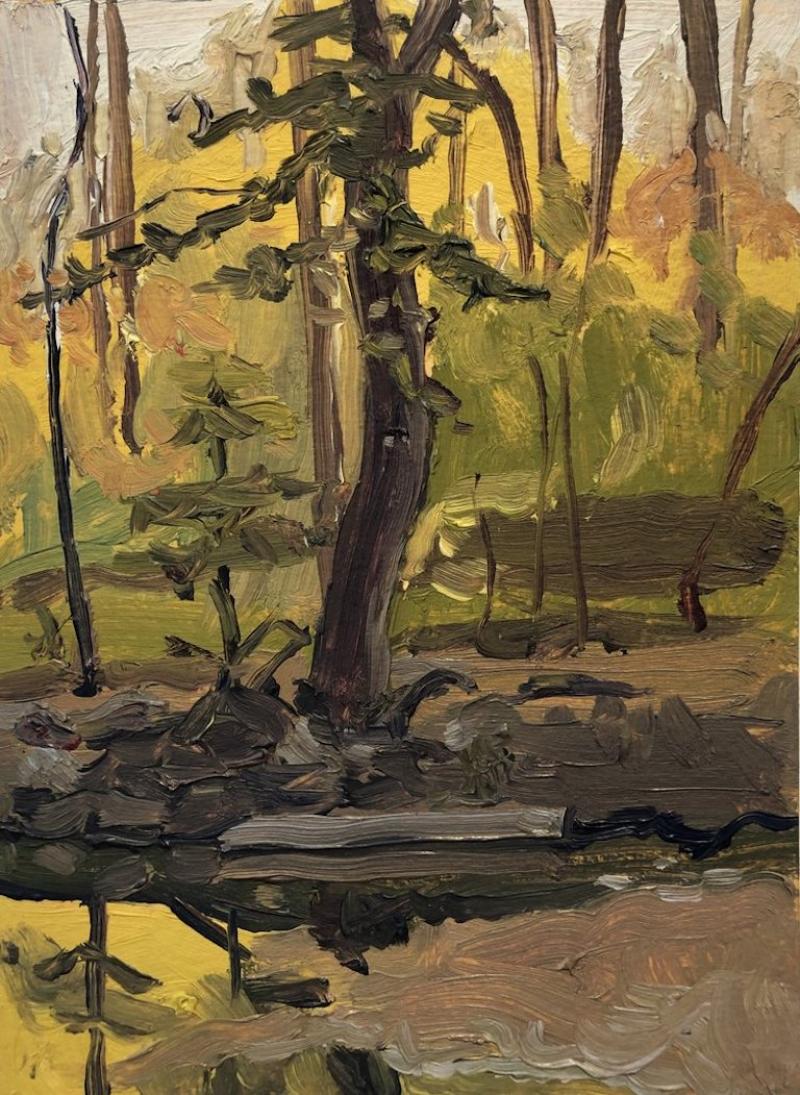 Maud Taber Thomas SLIGO CREEK AUTUMN FOLIAGE