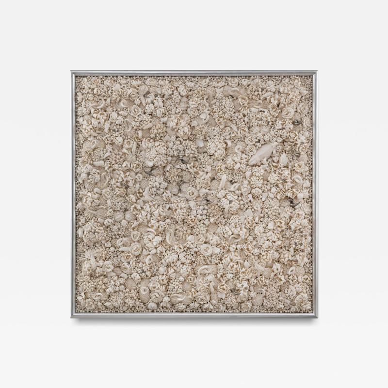 Melis Buyruk Bearded Dragon 2025