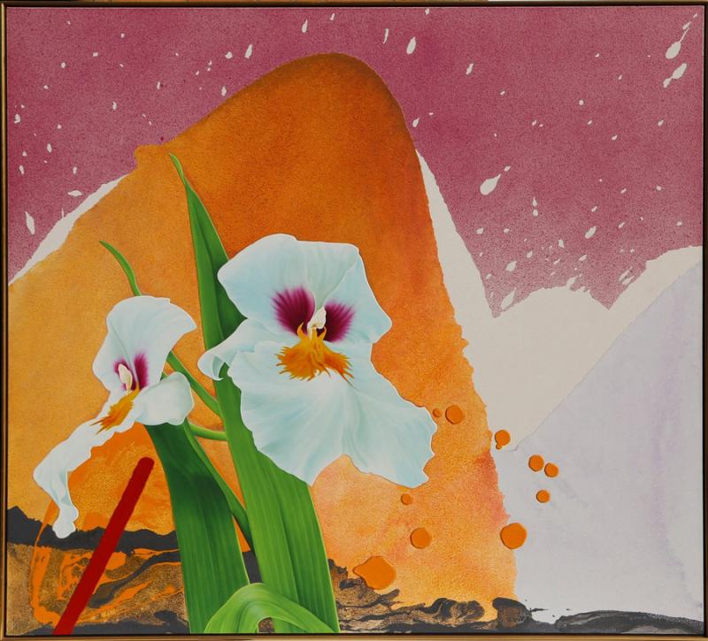 Michael Knigin White Irises