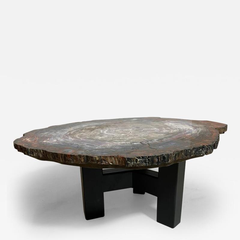 Mid Century Modern Petrified Wood Coffee Table