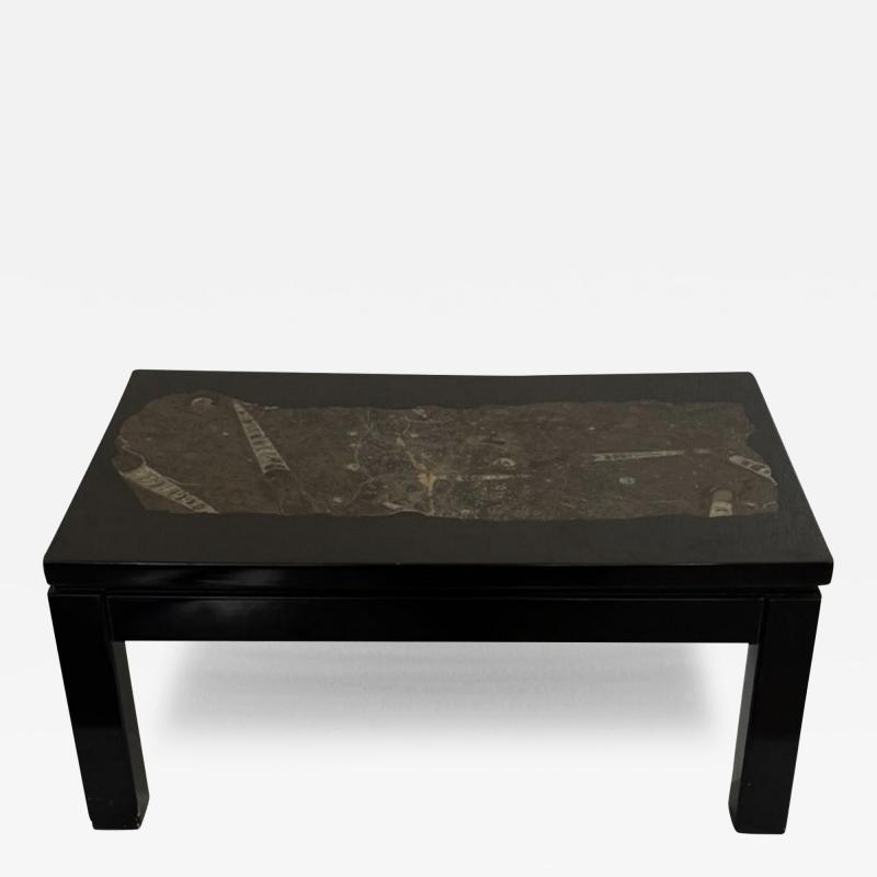 Mid Century Rectangular Coffee Table by Etienne Allemeersch Fossilized Stone