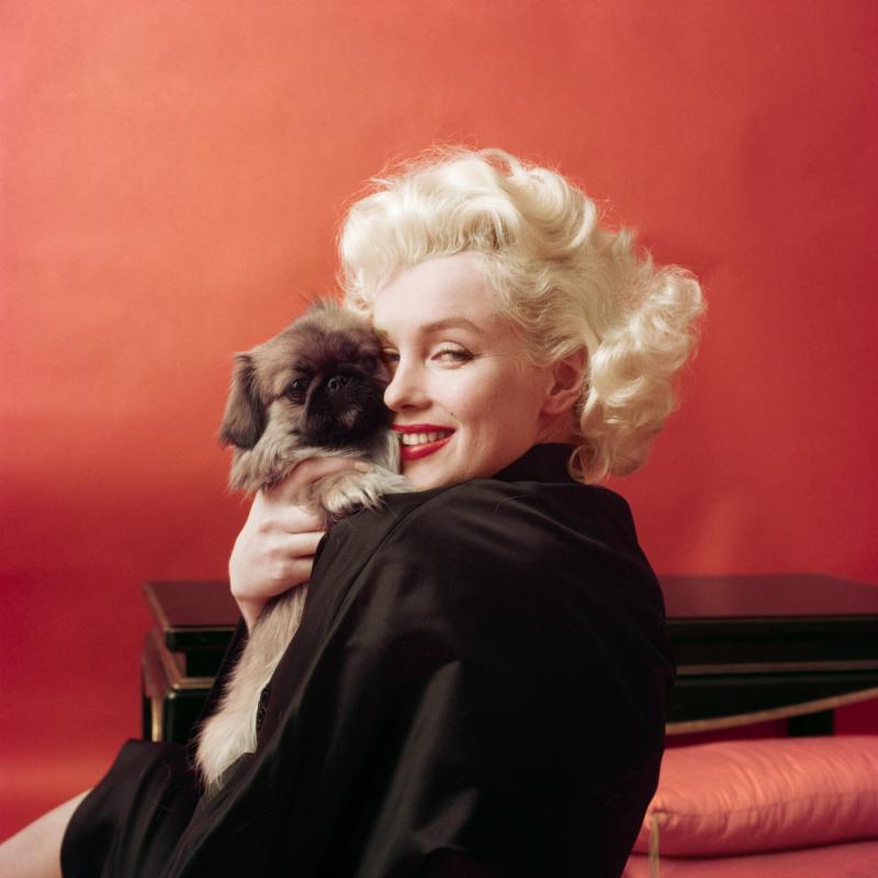 Milton H Greene Marilyn Monroe NY dog 