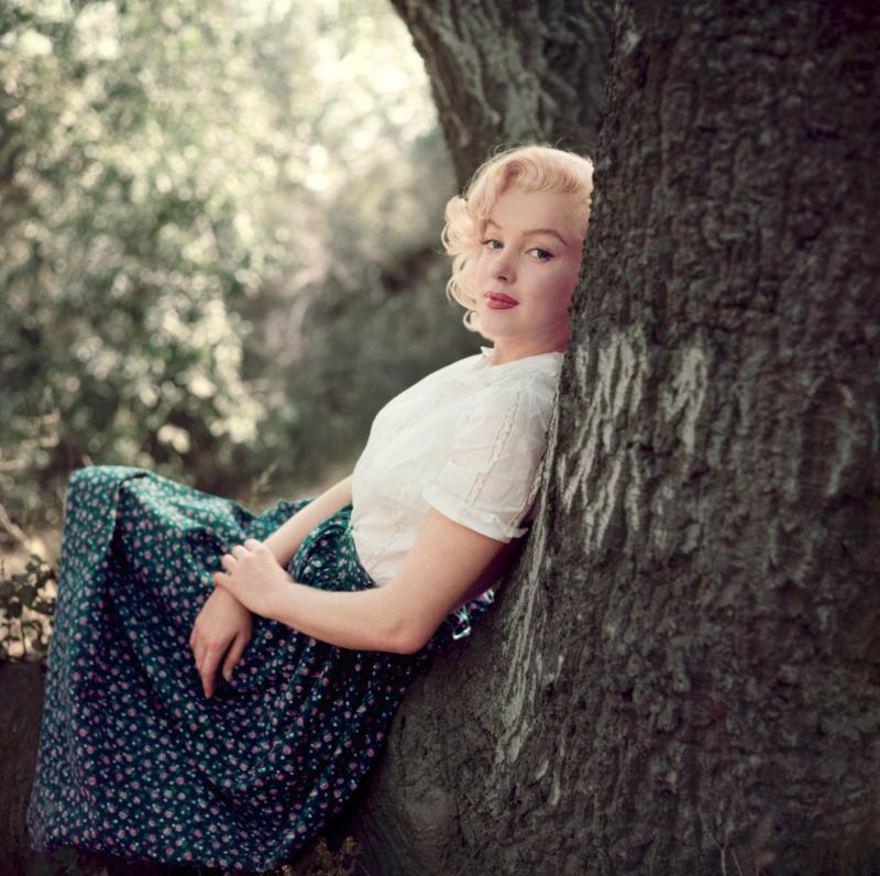 Milton H Greene Marilyn Monroe Tree Sitting