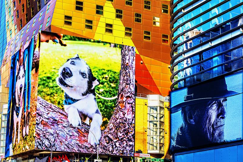 Mitchell Funk All American Favorites Husky Dogs and Clint Eastwood in Times Square