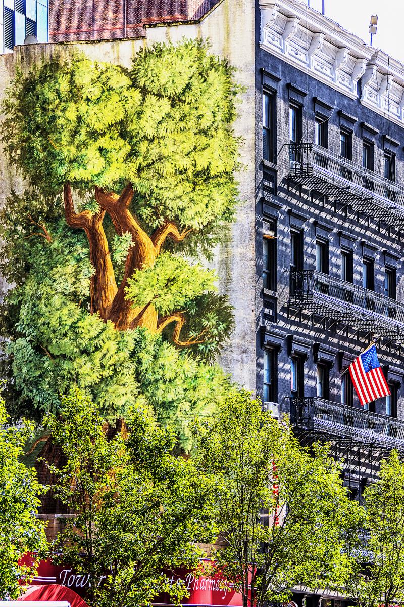 Mitchell Funk American Flag Swaying from a New York City Building With Graffiti Wall Art