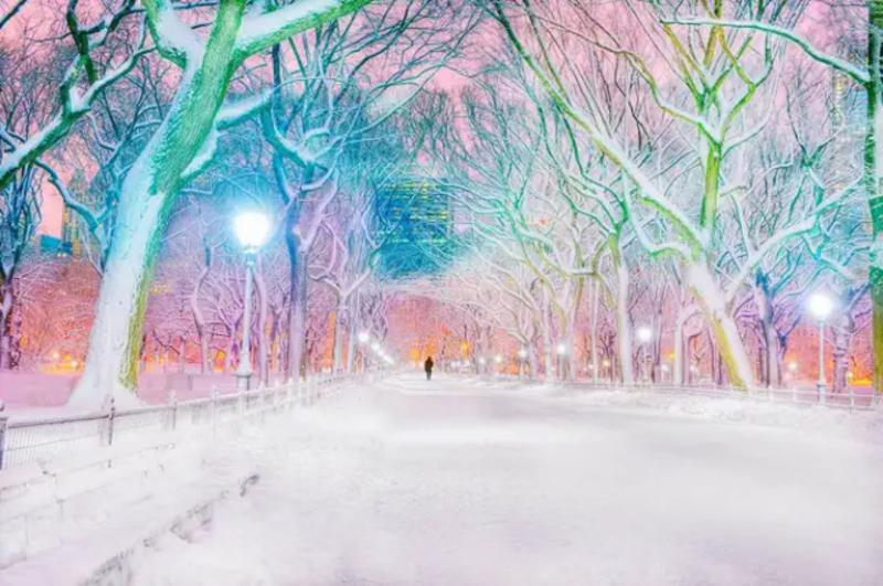 Mitchell Funk Central Park in the Snow
