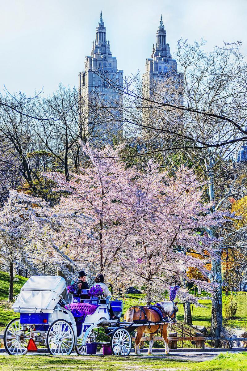 Mitchell Funk Classic Old New York Vintage Central Park