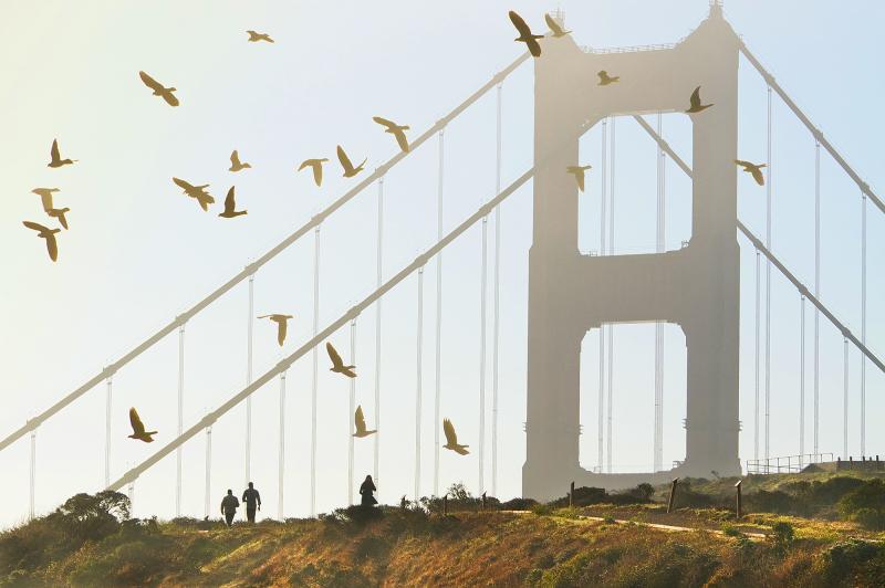 Mitchell Funk Golden Gate Bridge with Birds in Monochrome San Francisco