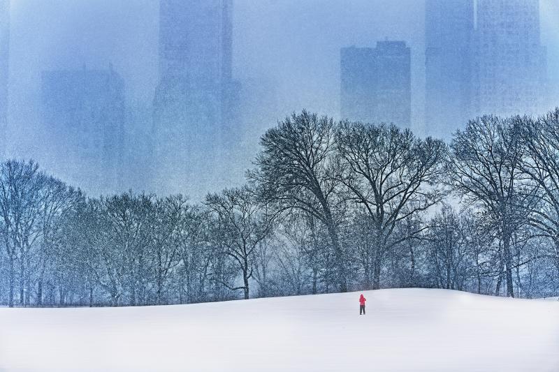 Mitchell Funk Snow in Central Park Billionaire Row Monochromatic Grey and Blue