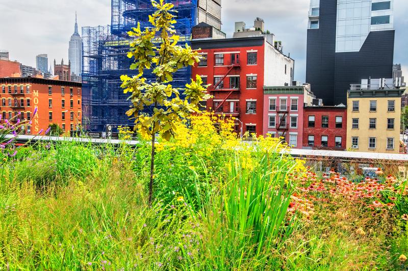 Mitchell Funk Wherever You Look You See The Chrysler Building The High Line