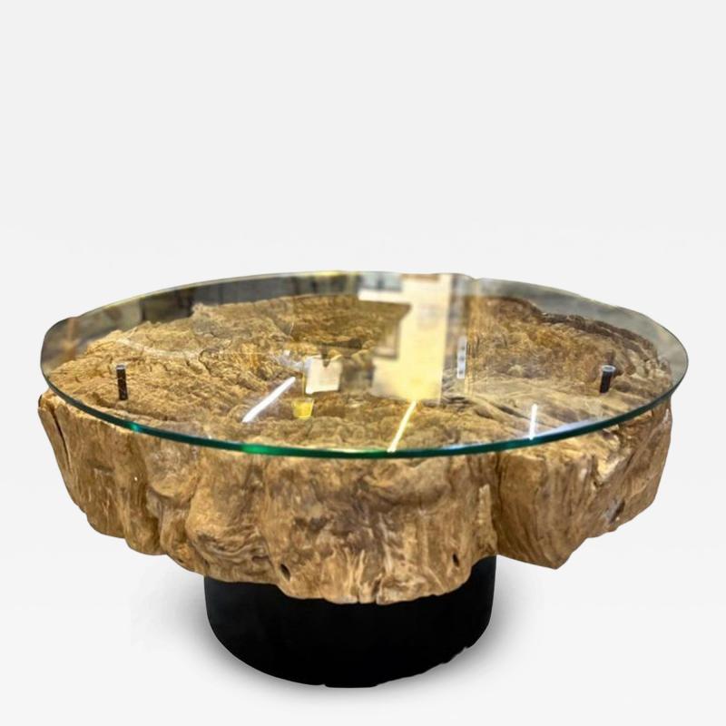 Modern Organic Driftwood Coffee Table With Glass Top Black Steel Base 2025