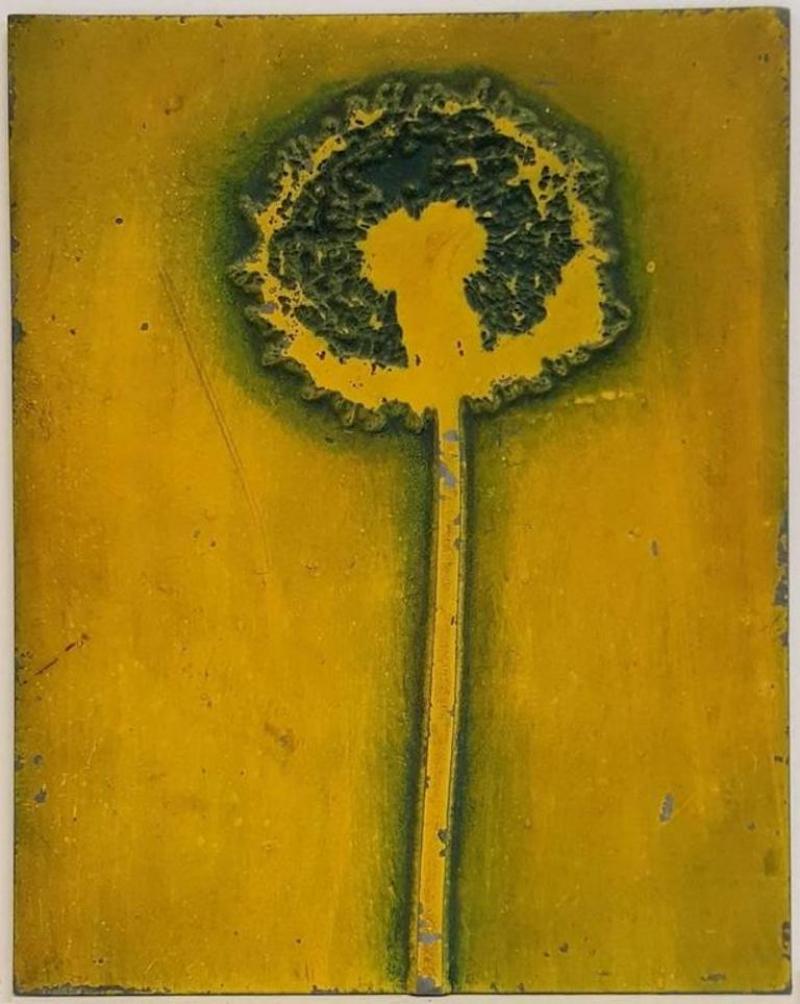 Naomi Savage Dandelion c 1960