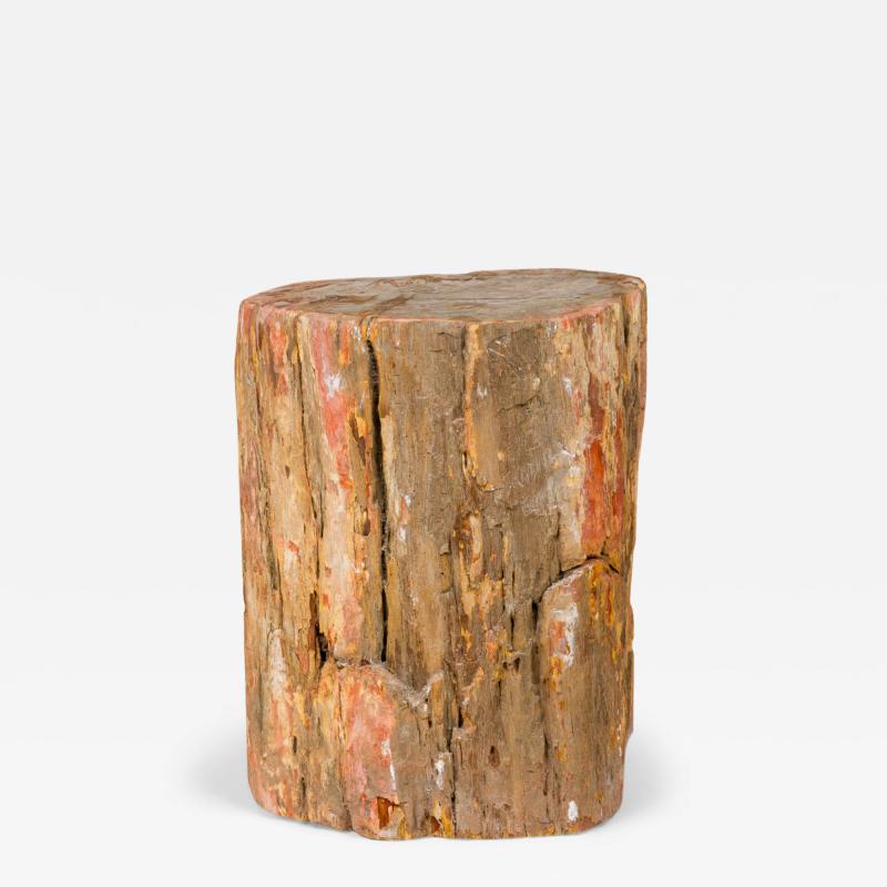 Natural Live Edge Petrified Wood Stump