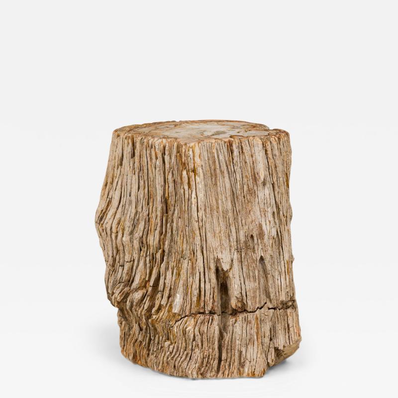 Natural Live Edge Petrified Wood Stump