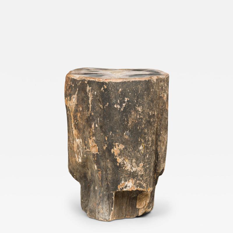 Natural Live Edge Petrified Wood Stump