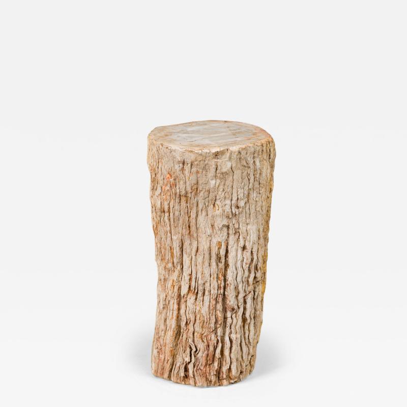 Natural Live Edge Petrified Wood Stump