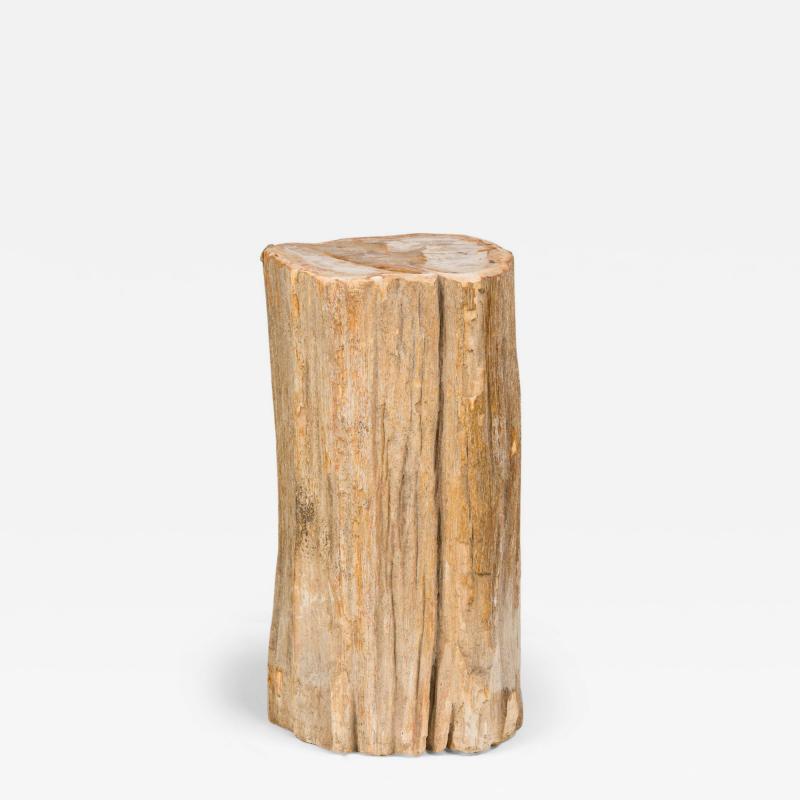 Natural Live Edge Petrified Wood Stump
