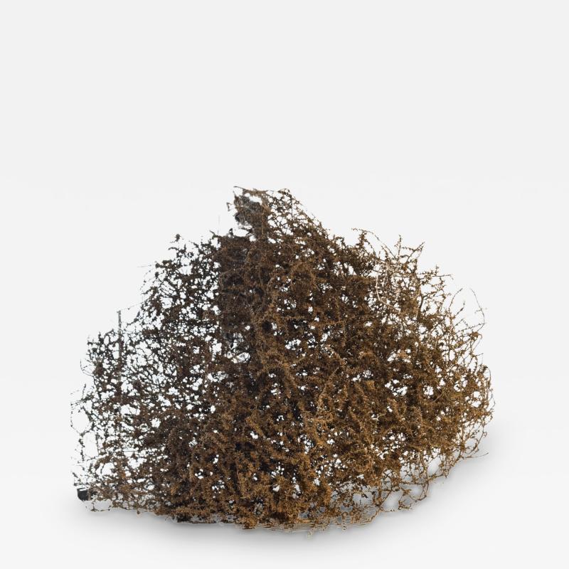 Natural Sculpture