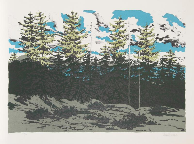 Neil G Welliver From Zeke s Place Maine Landscape 