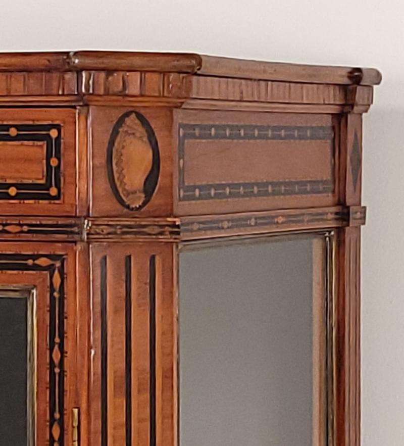 Neoclassical Inlaid Display Case, Sweden, Early 19th Century