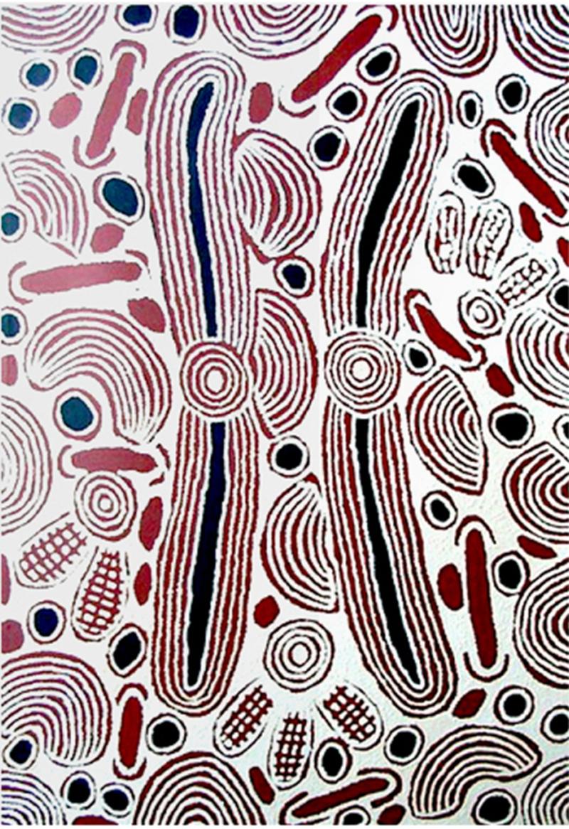 Nigura Napurrula Aboriginal Painting by Nigura Napurrula My country Rock Holes 