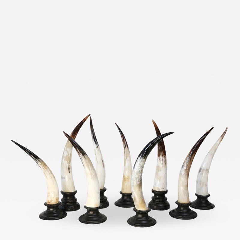 Nine Horn Sculptures