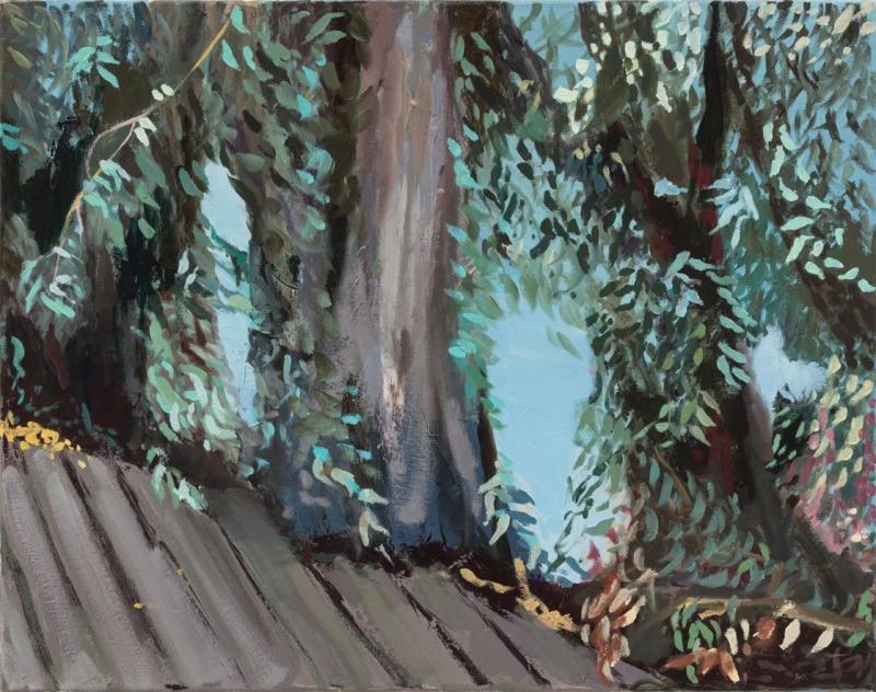 Noa Charuvi Eucalyptus