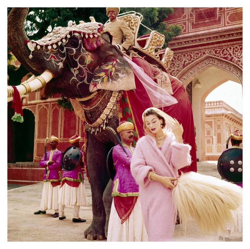 Norman Parkinson Anne Gunning for Vogue Estate Print