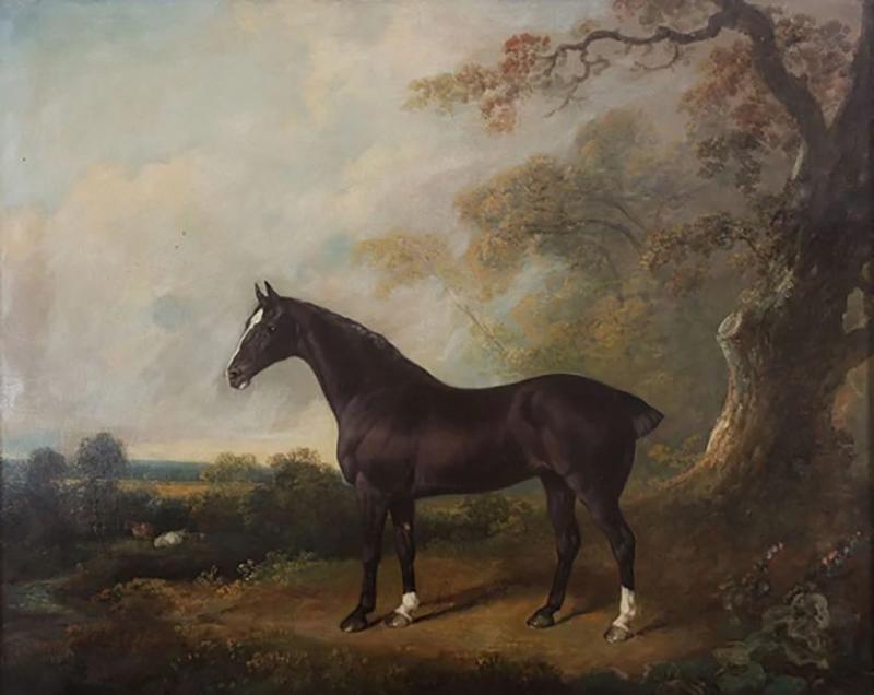 Oil Painting of a Horse Standing Proud in Woodland