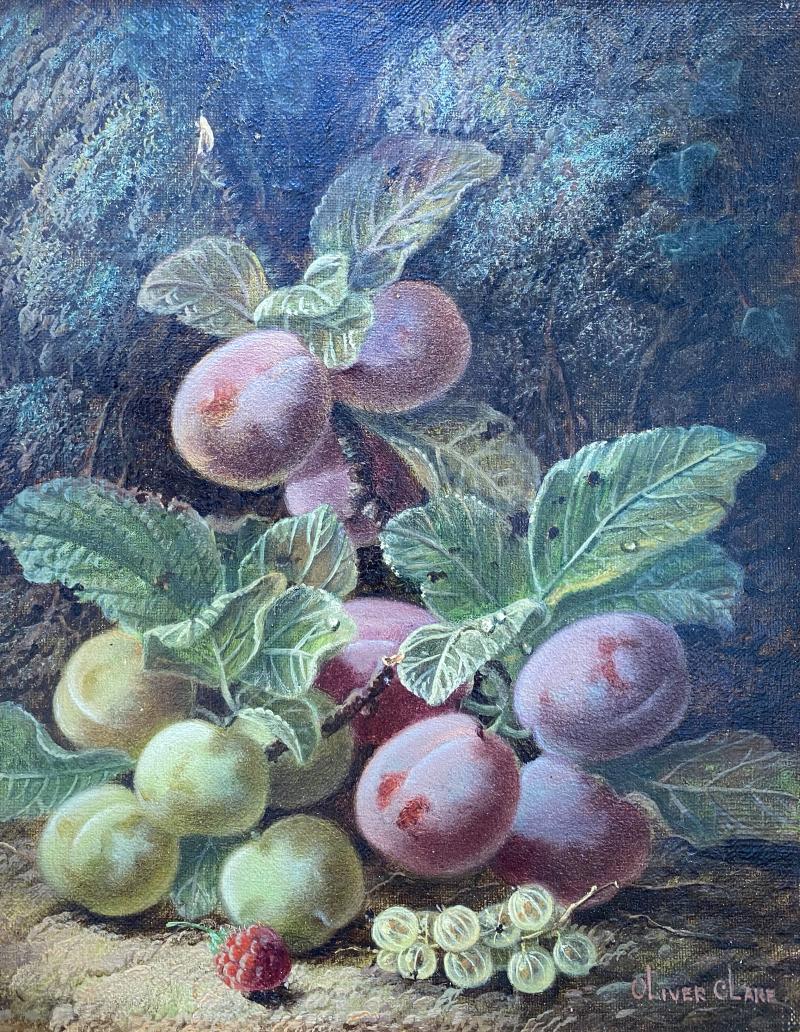 Oliver Clare Plums 