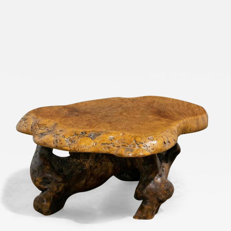 Organic Burl Coffee Table