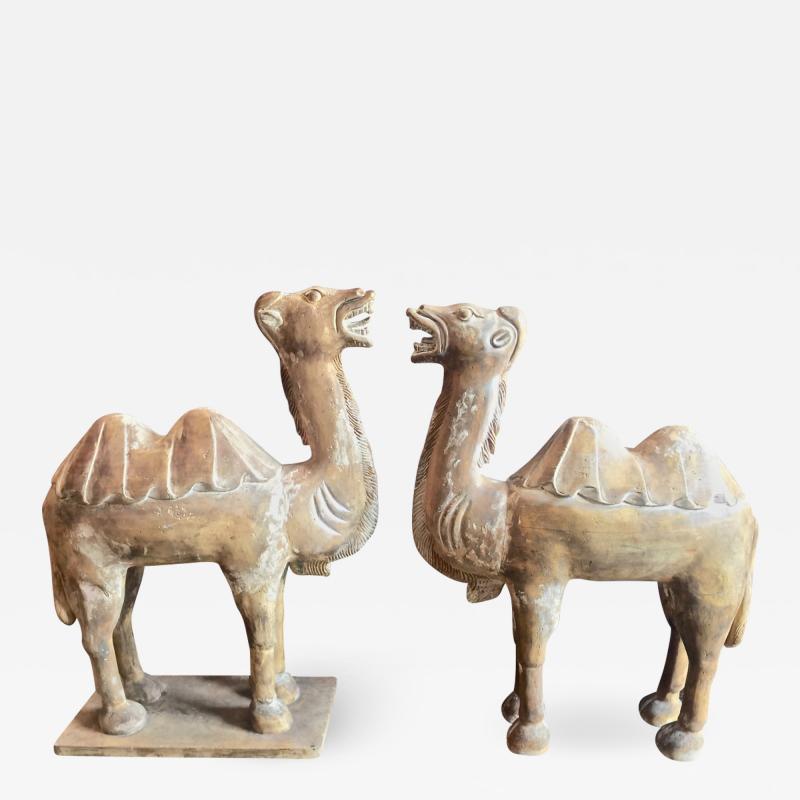 Pair Large Antique Chinese Tang Style Carved Camels