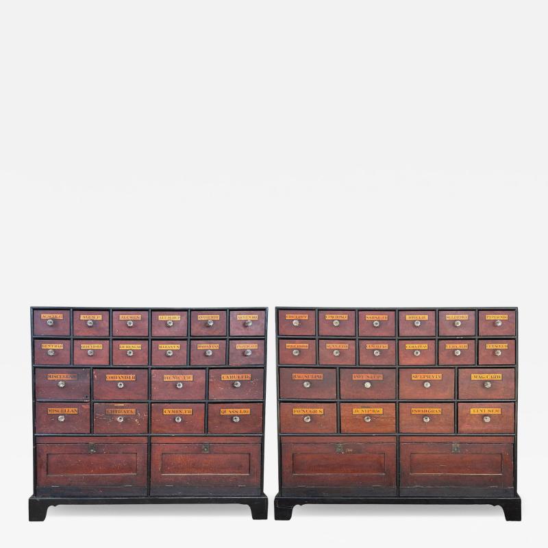 Pair Of Large English Faux Bois Apothecary Chests