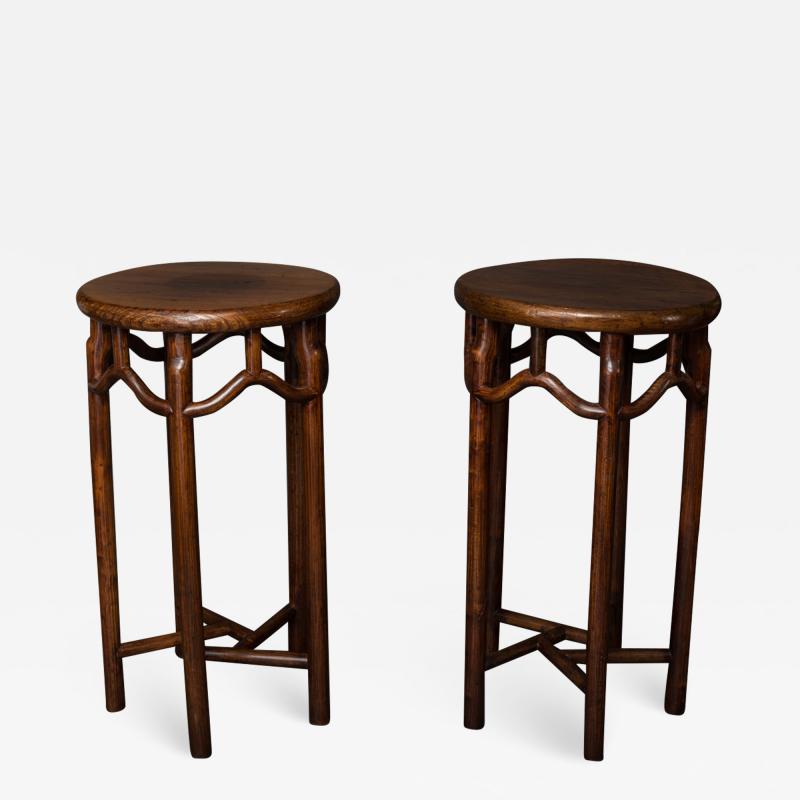 Pair of 19th Century Chinese Elmwood Stands