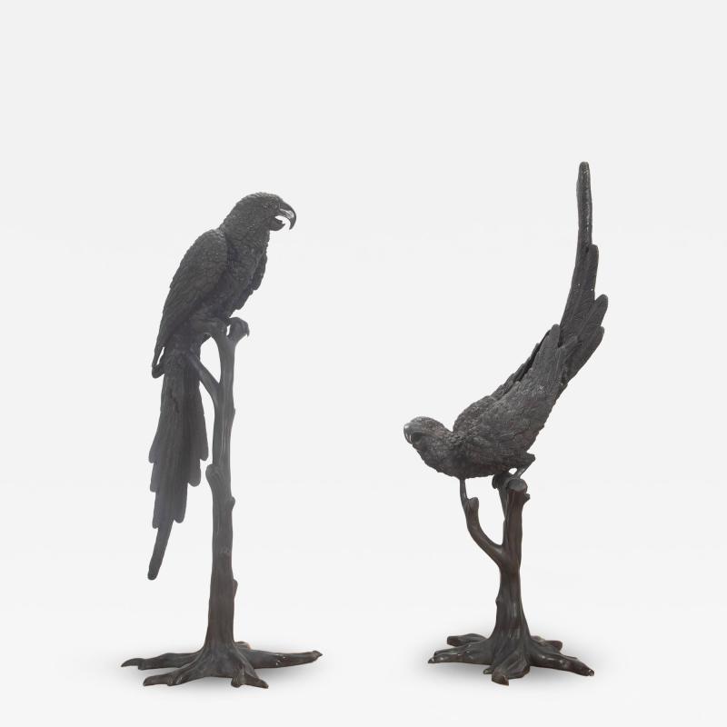 Pair of 20th Century Life Size Bronze Macaw Birds