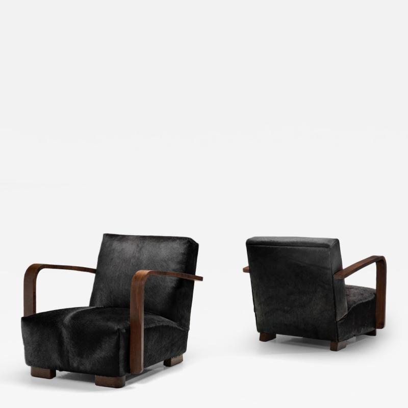 Pair of Armchairs in Ponyskin Europe First half of the 20th Century