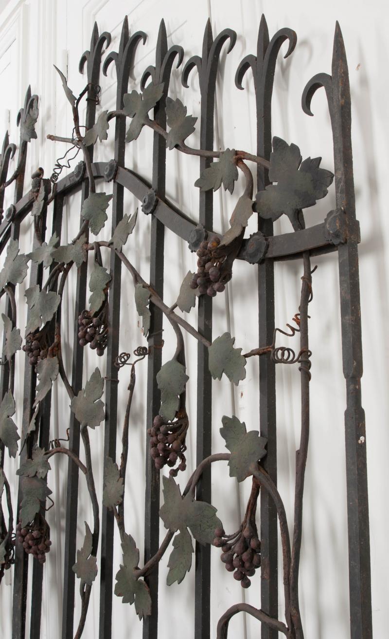 Pair of French Early 20th Century Painted Wrought-Iron “Grapevine” Gates